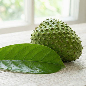 Soursop (Graviola) Leaf